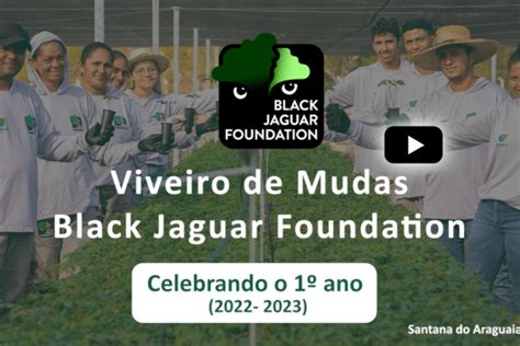 Produção de mudas no novo Viveiro Black Jaguar completa 1 ano Black