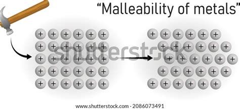 Malleability Metals How Metals Can Be Stock Vector (Royalty Free ...