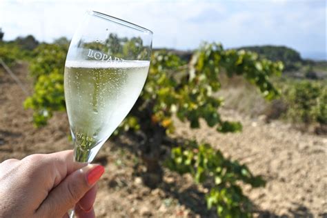 Tour de bodegas por el Penedés desde Barcelona