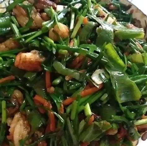 尝一口羊肉炒韭菜，羊肉鲜香，韭菜鲜美，好吃极了 知乎