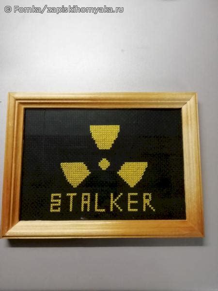 Записки хомяка - Символика "Сталкер"