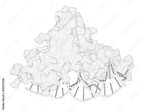 D Rendering As A Line Drawing Of A Biological Molecule Structural