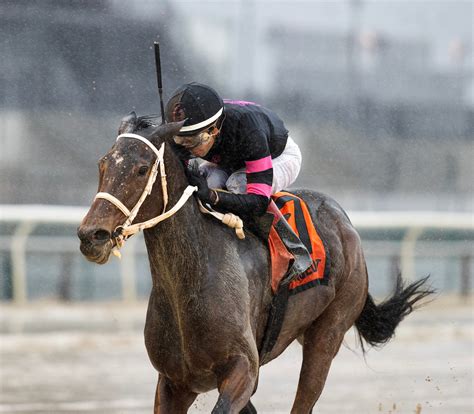 Reid has bases covered in two Parx stakes