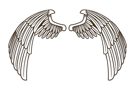 Premium Vector Eagle Wing Vector Illustration