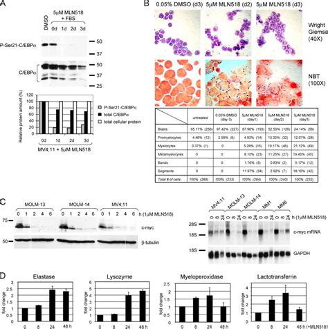 Inhibition Of Flt3 Induces Granulocytic Differentiation Of Mv411