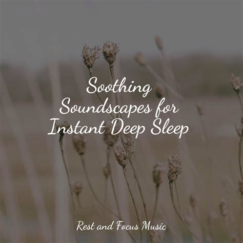 Soothing Soundscapes For Instant Deep Sleep Album By Baby Relax Music