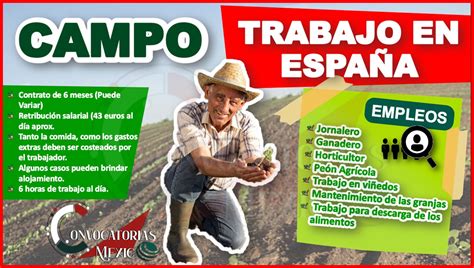 Trabajo en España en el Campo 2023 2024 enero 2025