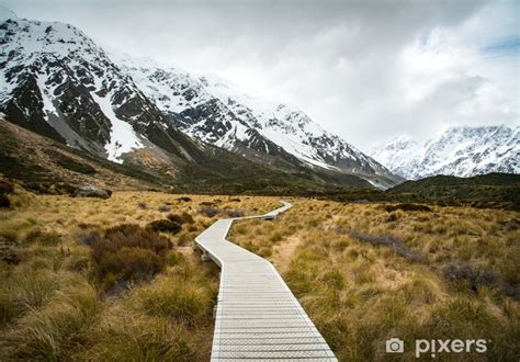 Fotomural La Pasarela De Madera Del Valle Hooker Conduce Al Monte Cook