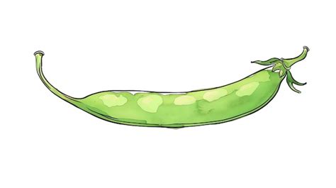 Premium Photo Fresh Green Peas In A Pod Isolated On White Background