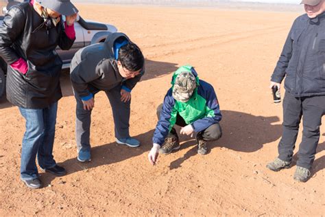 Iap Scientists Strike Dust Storm Deal With Mongolia Institute Of