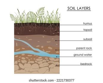 Soil Layers Diagram Underground Water Geology Stock Vector (Royalty Free) 2221730377 | Shutterstock