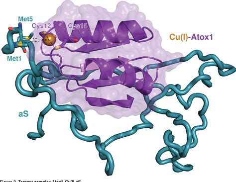 Figure 3 From Crossroads Between Copper Ions And Amyloid Formation In Parkinsons Disease