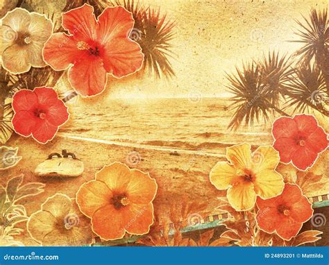 Tropical Vintage Beach Stock Image - Image: 24893201