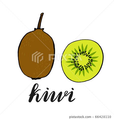 Kiwi Fruit Slice Closeup Icon Isolated On White Stock Illustration