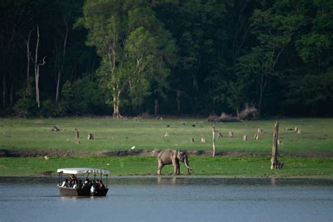 Explore The 5 Unmissable Places To Visit In Kabini Hike Navigator