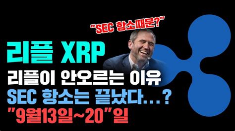 리플 Xrp 긴급 리플이 당장 오르지 못하는 이유 Sec 항소는 불가능하다 9월13일~20일코인시황 Youtube