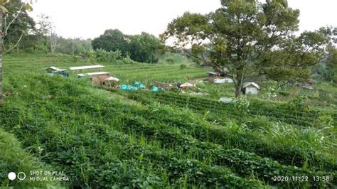 Tanah Trawas View Gunung Ideal Untuk Villa Anda