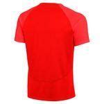 Nike Training T Shirt Dri Fit Academy Pro Rot Rot Wei