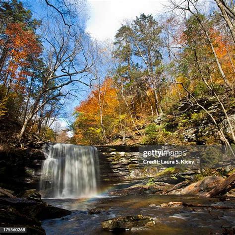 benton park view   premium high res pictures getty images