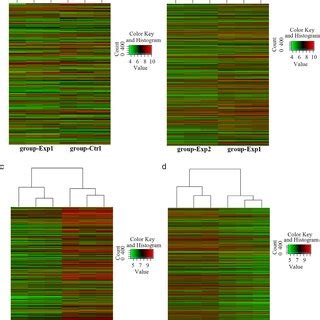 Long Non Coding RNA LncRNA And Messenger RNA MRNA Differential