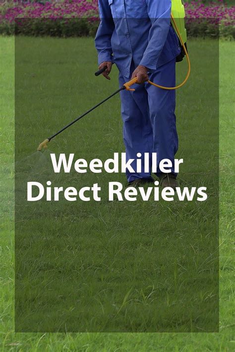 Best Weed Killer For All Types Of Lawns In 2022 Top Options Reviewed Artofit