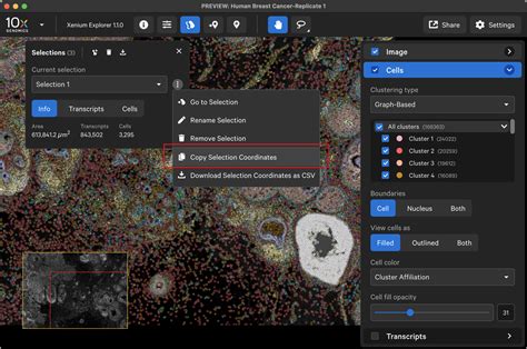 Selecting And Exporting Multiple Regions Of Interest Official 10x Genomics Support