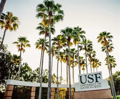 11 Florida Colleges Rank Best For Value | Tampa, FL Patch