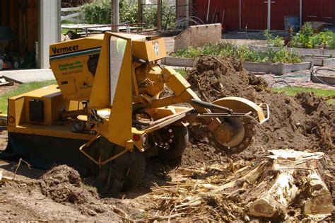 Tree Loppers And Stump Removal Perth Jims Trees