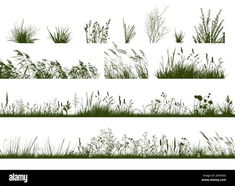 Set Of Horizontal Banners Of Meadow Silhouettes With Grass Vector Illustration Stock Vector