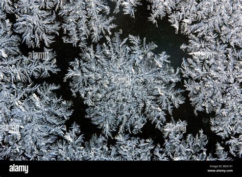 Ice Crystals Frost Flowers Forming On Frozen Window Pane During