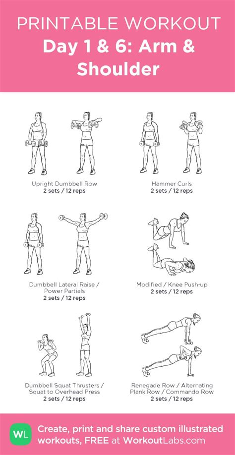 Day 1 And 6 Arm And Shoulder Gym Workout Plan For Women Dumbell Workout