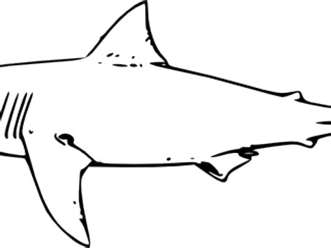 Bull Shark Clipart Simple Great White Shark Line Art Png Download