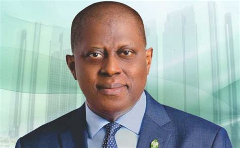 Cardoso Vows To Bring Down Inflation As CBN Reforms Bolster Investors