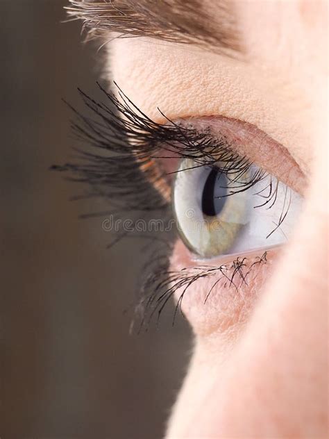 Close Up Do Olho O Olho Humano Lateralmente Os Olhos Da Menina