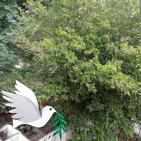 Environmental Awareness