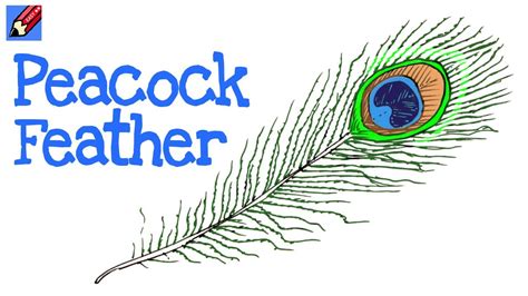 Peacock Feather Drawing Designs A printable teacher parent resource to ...