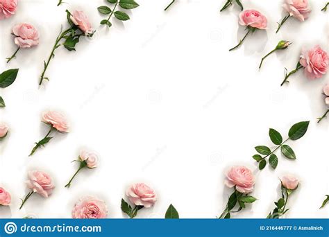 Flores Rosas Rosadas Con Hojas Sobre Fondo Blanco Con Espacio Para