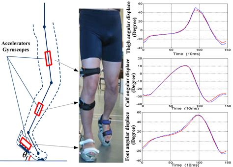 Sensors Free Full Text Gait Analysis Using Wearable Sensors