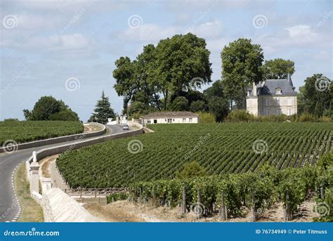 Vineyards in the Pauillac Region of France Editorial Stock Image ...