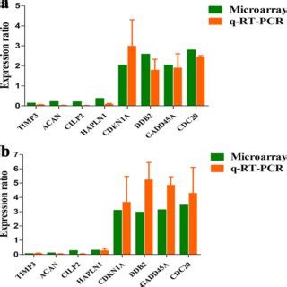 Validation Of The Microarray Results By Qrt Pcr A T Toxin Treatment