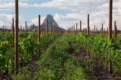 Conoce el Jardín Etnobiológico de Concá Turismo del Estado de Querétaro