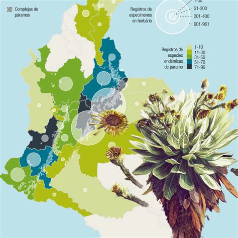 La construcción de la Lista Roja de Plantas Endémicas de los Páramos