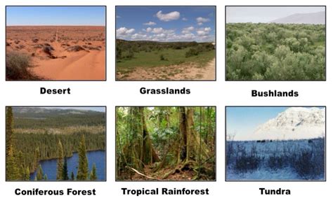 1. Biomes - Biomes and Food