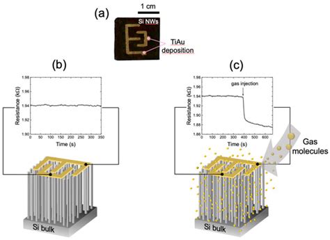 Sensors Free Full Text Luminescent Silicon Nanowires As Novel Sensor For Environmental Air