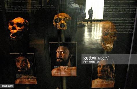 17 Maropeng Museum Stock Photos, High-Res Pictures, and Images - Getty Images