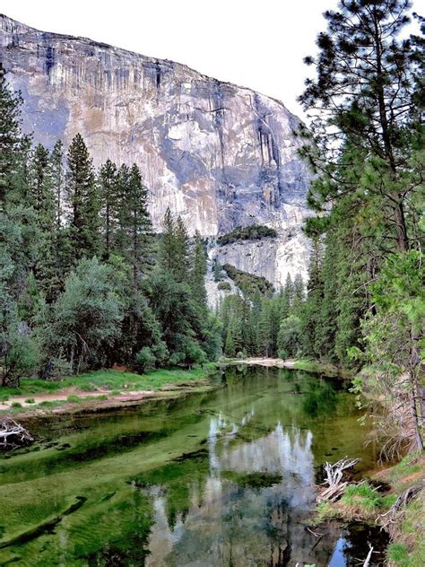 Cliffs Above The Merced River Yosemite Valley Yosemite National Park