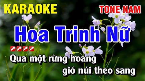 Karaoke Hoa Trinh N Tone Nam Nh C S Ng Ph I M I Nguy N Linh Youtube