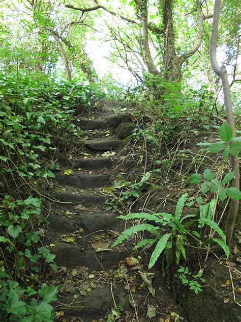 Old Steps Scotland Mill Stephen Craven Cc By Sa 2 0 Geograph