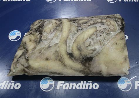 Pulpo T 3 Marruecos Fandiño Distribuidora De Congelados