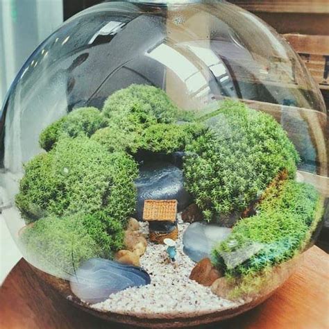 Pin by Mahmut Kırnık on Terrarium Terrarium Home decor Decor